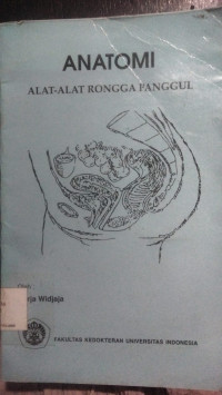Image of Anatomi Alat-Alat Rongga Panggul